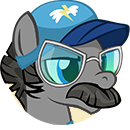 File:Skeptical Old Wonderbolt portrait.png