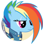 File:Sombraverse Rainbow Dash portrait.png