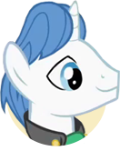 File:Shooting Star portrait.png