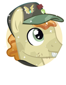 File:Pin Pony portrait.png
