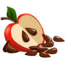 File:Apple Seeds.png