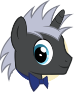 File:Wedding Guest Pony portrait.png