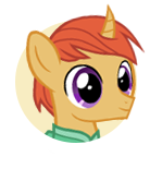 File:Imperial Colt portrait.png