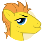 File:Rowdy Polo Pony portrait.png
