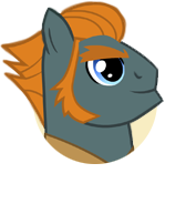 File:Caballeron's Brigand portrait.png