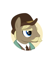 File:Doctor Pony portrait.png