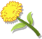 File:Dandelions product.png
