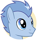 File:Wild West Racer Pony portrait.png